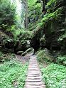 2010-06-12, Uttewalder Grund (35)